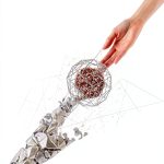 Chaconia Press Dermatology eBook Skin Ailments Guide English-0