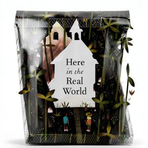 Children's Book HarperCollins Kindle eBook on Blended Families 8-12-0